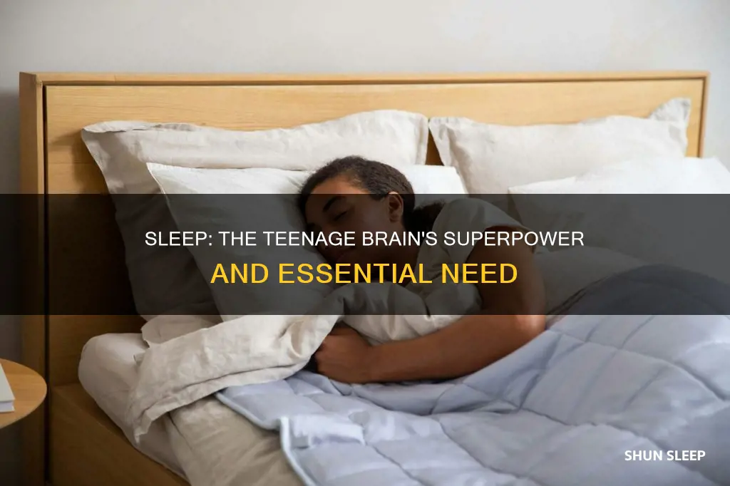 why the teenage brain needs sleep
