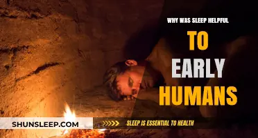 Sleep's Survival Advantage: How Rest Shaped Early Human Evolution
