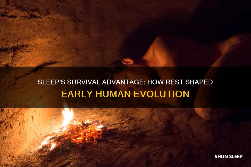 why was sleep helpful to early humans
