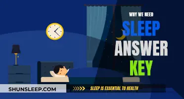 Sleep: The Ultimate Answer to a Healthy Mind and Body