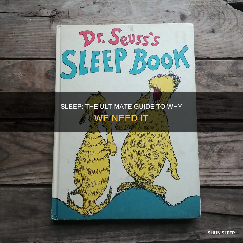 why we need sleep book
