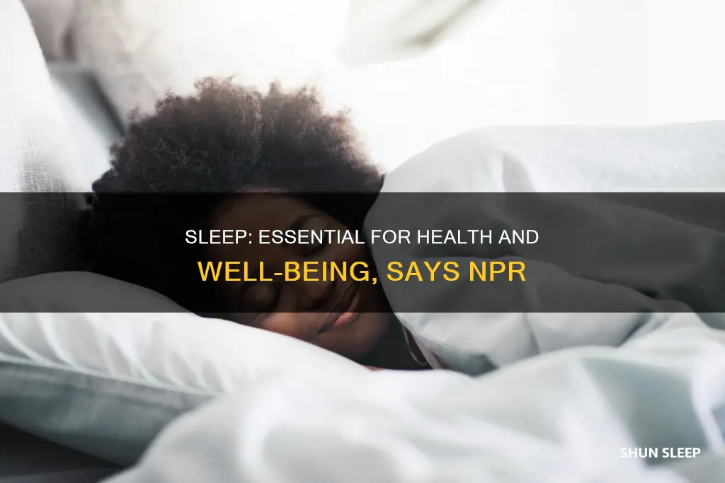 why we need sleep npr