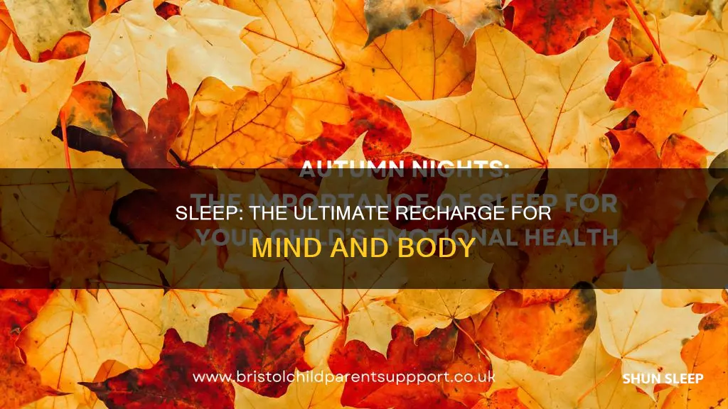 why we need sleep qutote