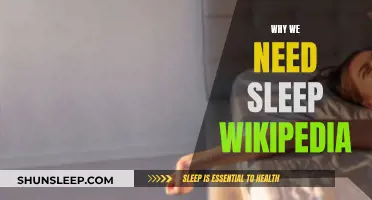 Sleep: An Essential Pillar of Human Health and Well-being