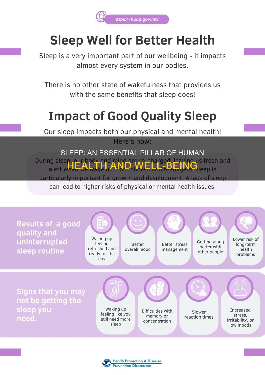 why we need sleep wikipedia