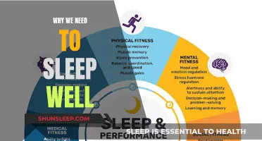 Sleep Well, Live Well: The Power of Restful Slumber