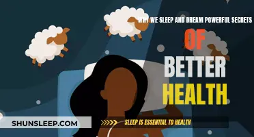 Unlocking Health Secrets: Sleep and Dreams