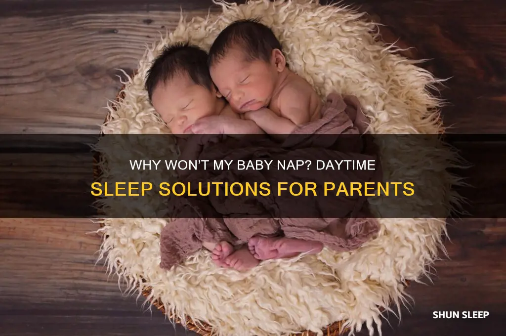 why will my baby not sleep during the day