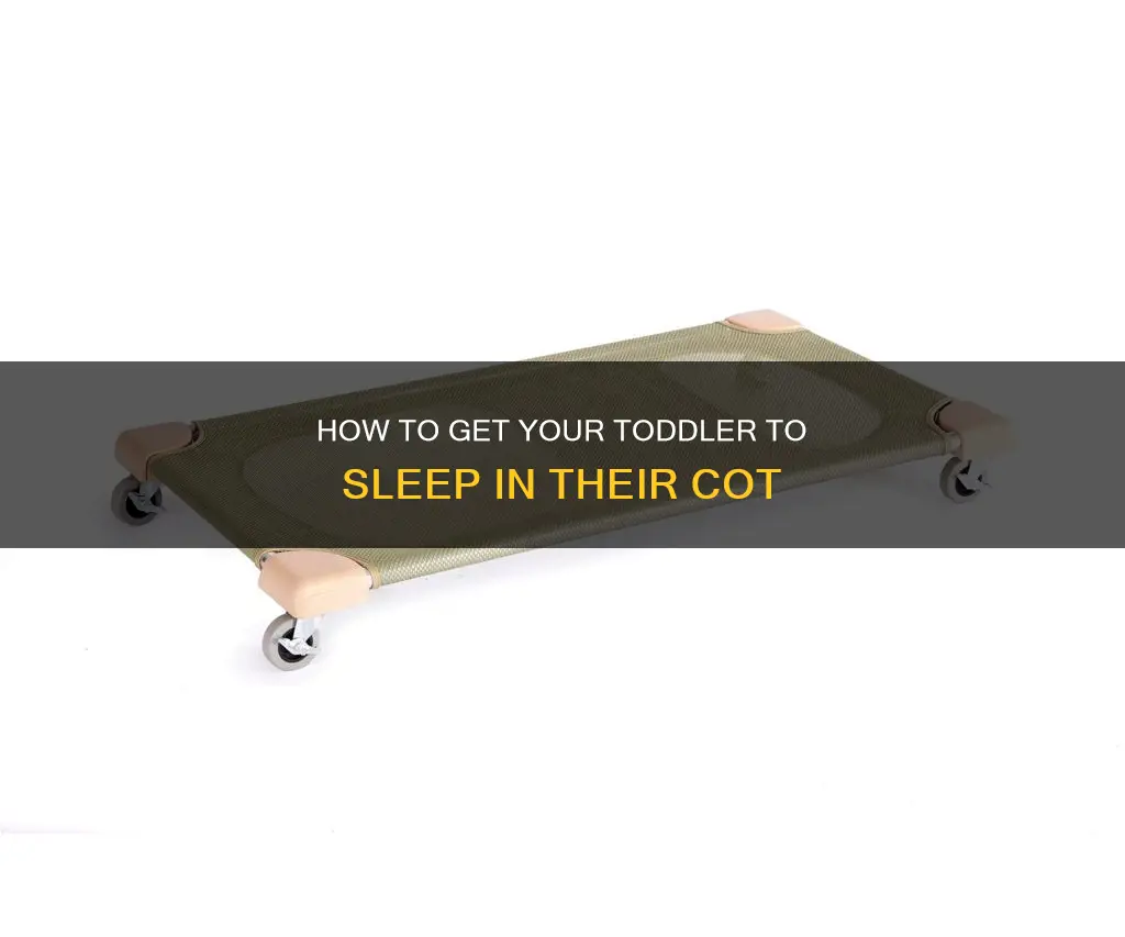 why wont my 1 year old sleep in her cot