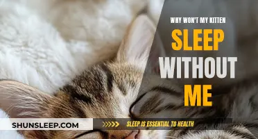 How to Help Your Kitten Sleep Independently