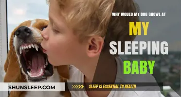 Why Does My Dog Growl at My Sleeping Baby? Explained