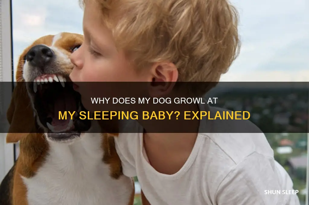 why would my dog growl at my sleeping baby