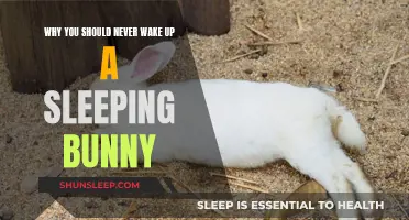 Bunny Waking: A Big Mistake You Should Avoid