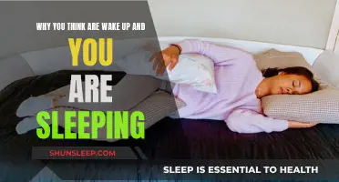 The Mind's Intrigue: Asleep but Awake