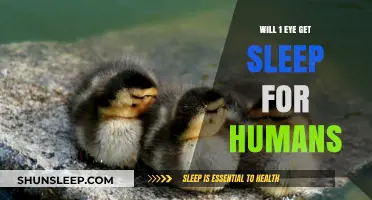 Can One Eye Sleep? Exploring Human Unilateral Sleep Phenomena