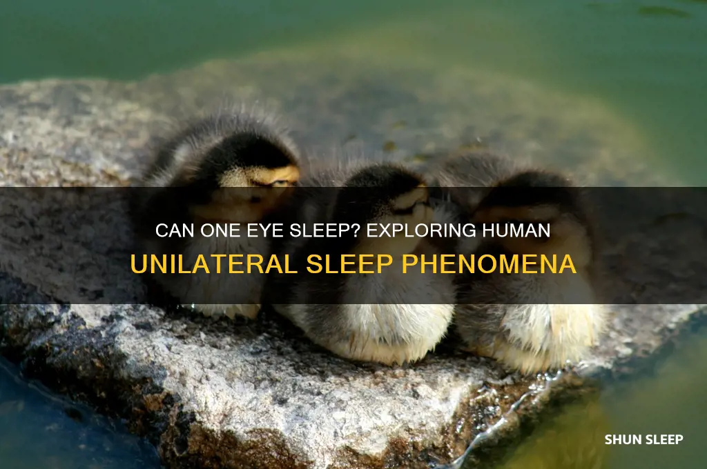 will 1 eye get sleep for humans