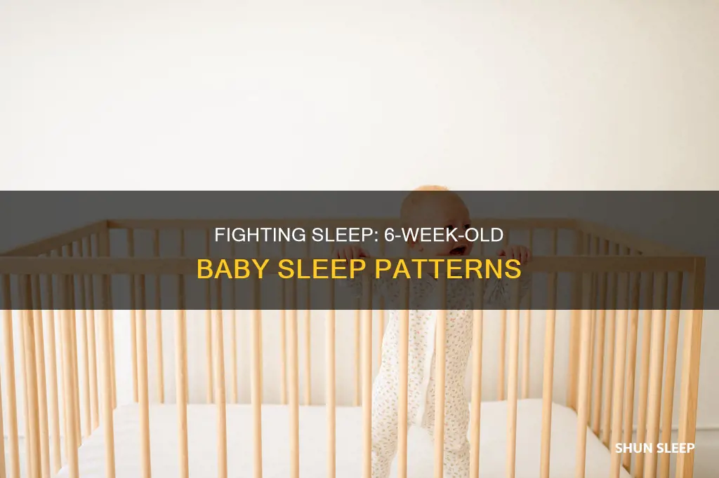 will a 6 week old fight sleep