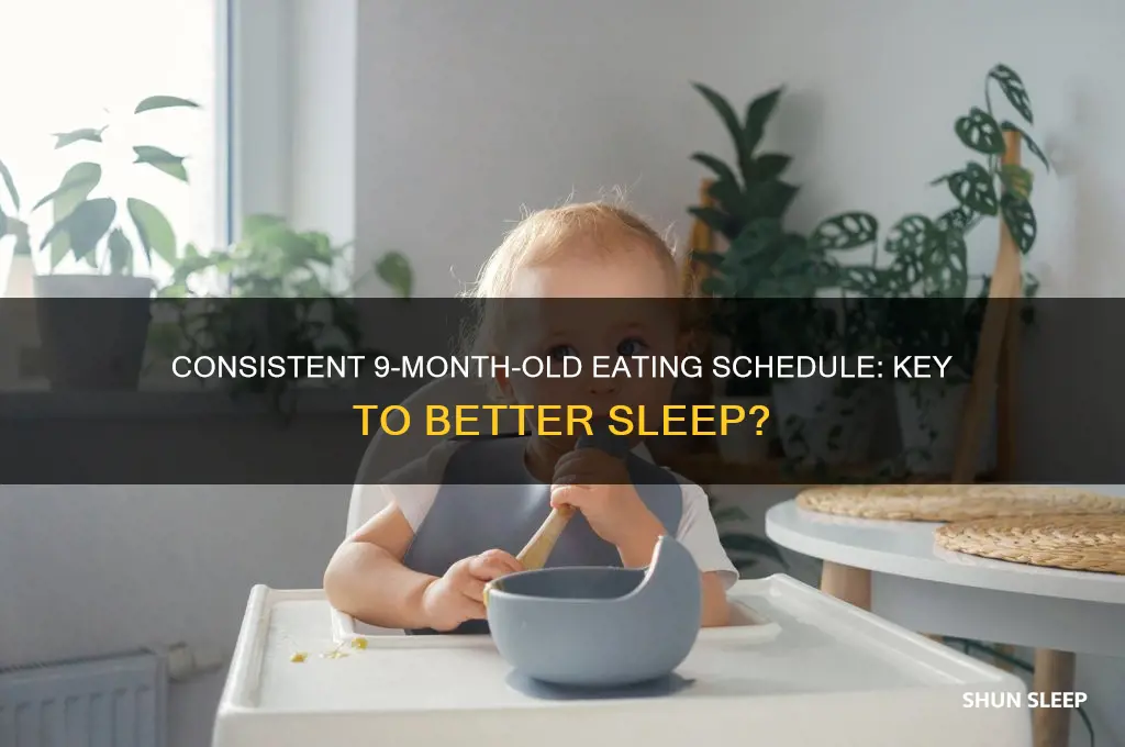 will a 9 month old eating schedule help with sleep