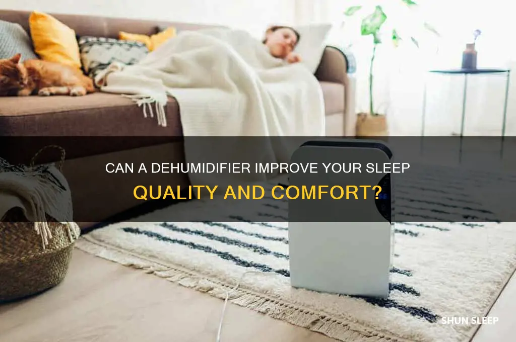 will a dehumidifier help me sleep