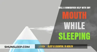 Humidifier Benefits: Can It Relieve Dry Mouth During Sleep?