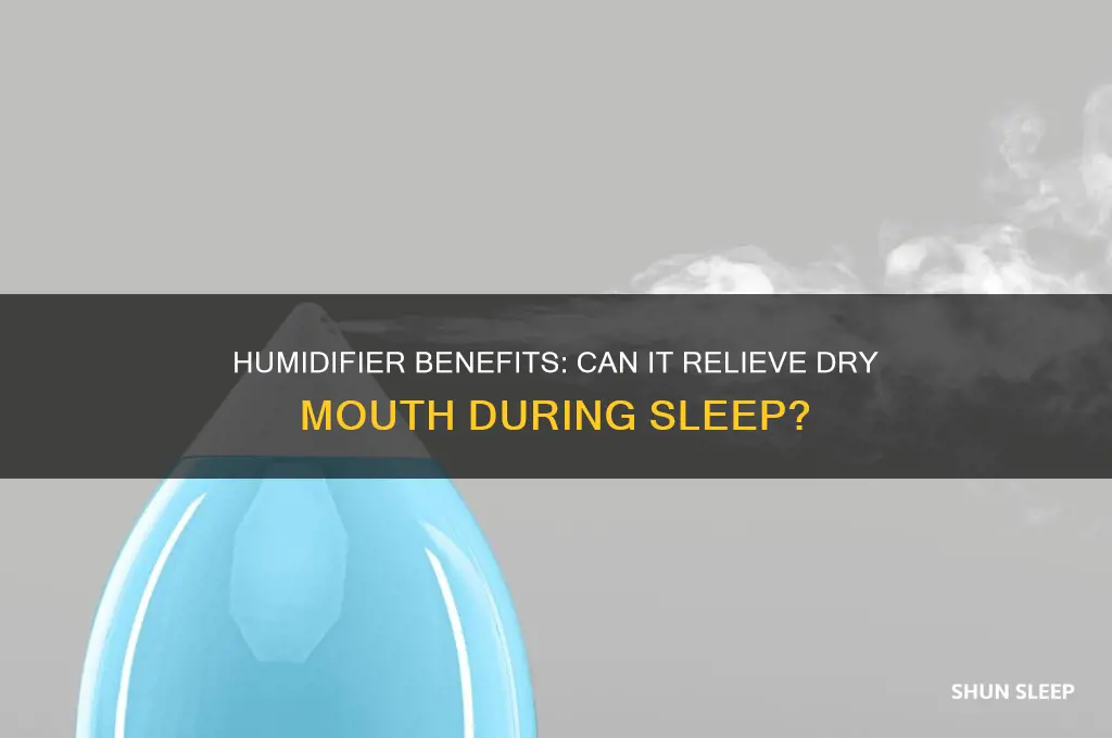 will a humidifier help with dry mouth while sleeping