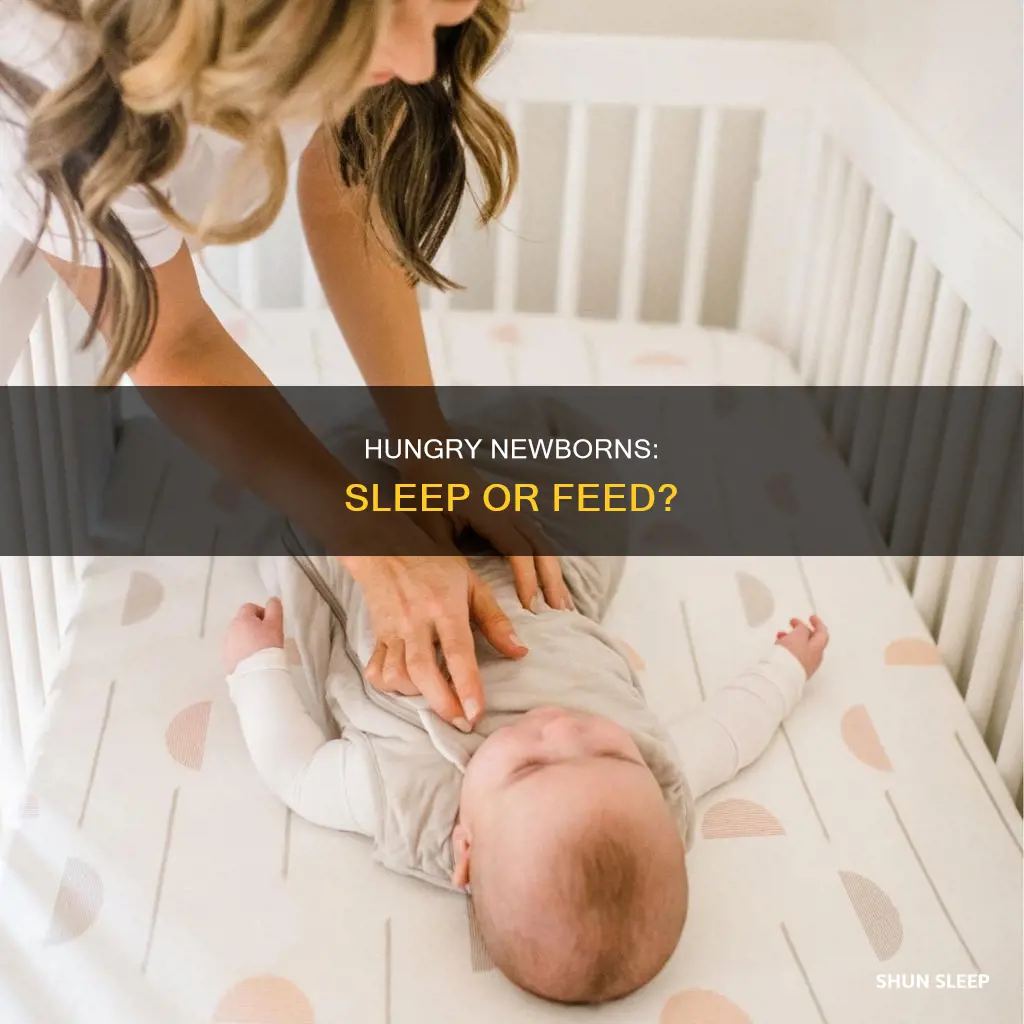 will a newborn sleep if hungry