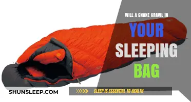 Snakes in Sleeping Bags: What's the Risk?