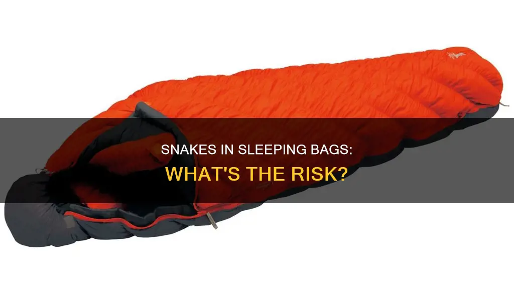 will a snake crawl in your sleeping bag