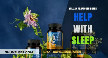 Adaptogen Herbs for Sleep: Natural Remedies to Enhance Restful Nights