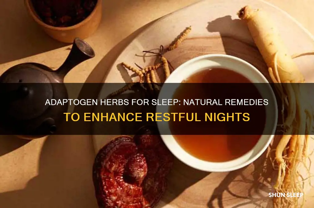 will an adaptogen herbs help with sleep