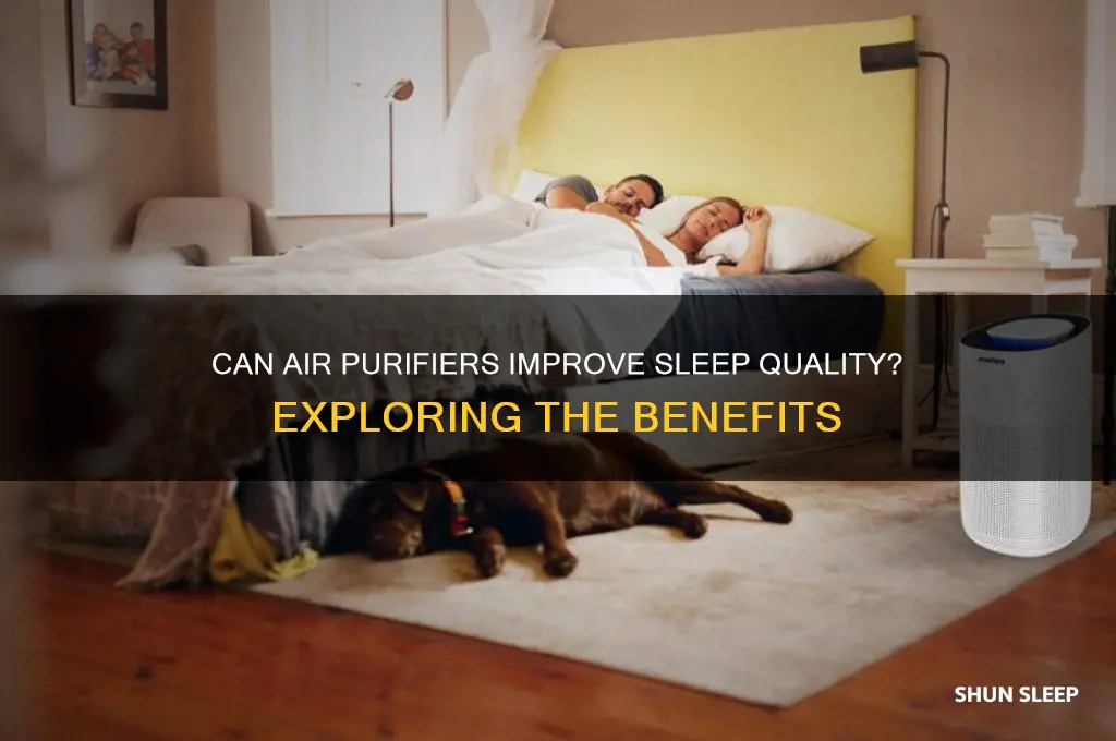 will an air purifier help me sleep