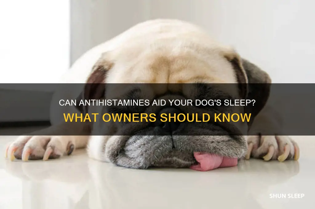 will antihistamines help dogs sleep