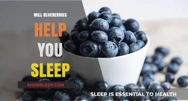 Blueberries and Sleep: Unlocking the Natural Benefits for Better Rest
