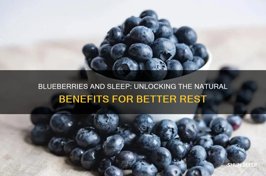 will blueberries help you sleep