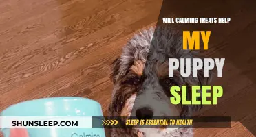 Calming Treats for Puppies: Can They Improve Your Pup's Sleep?