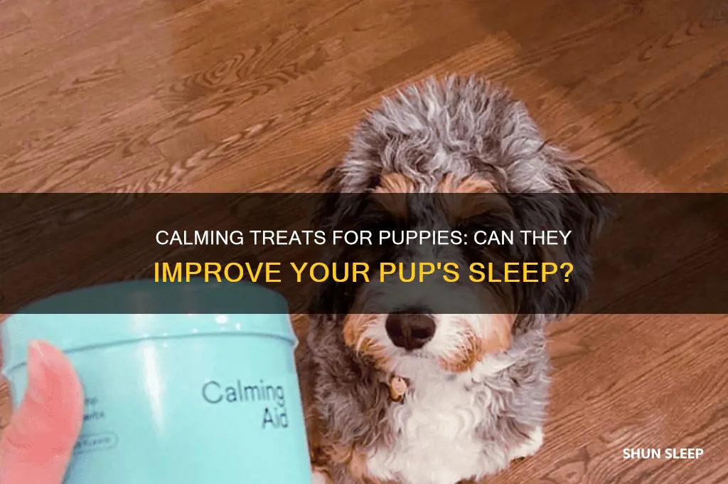 will calming treats help my puppy sleep