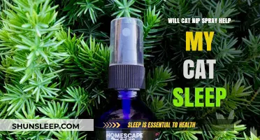 Can Catnip Spray Improve Your Cat's Sleep Quality? Find Out Here
