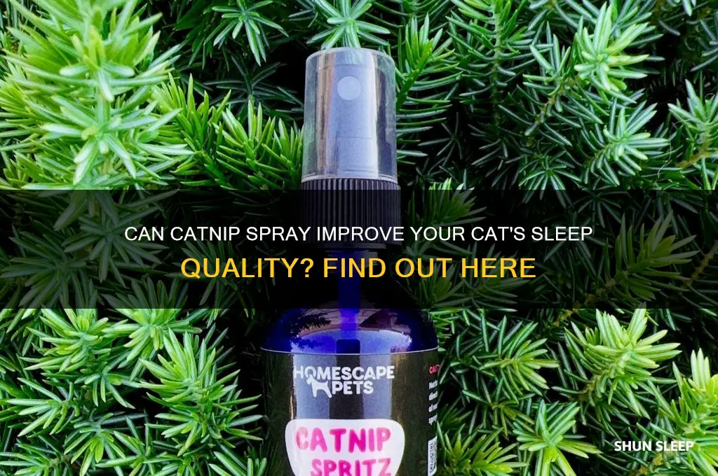 will cat nip spray help my cat sleep