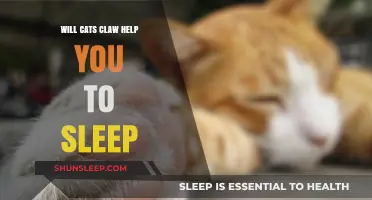 Can Cats Claw Improve Your Sleep Quality? Exploring Its Benefits