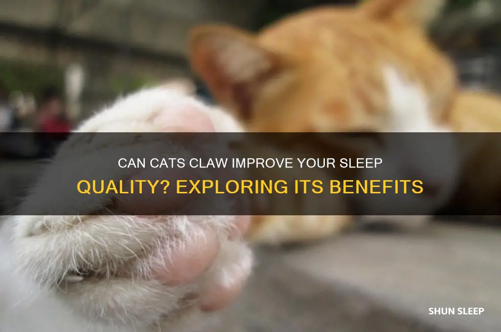 will cats claw help you to sleep