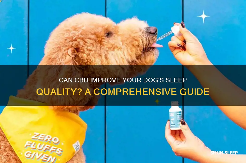 will cbd help dog sleep