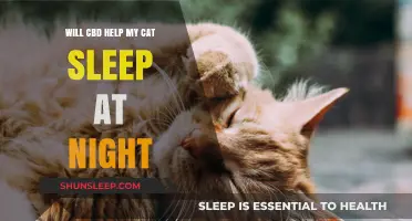 CBD for Cats: Can It Improve Your Feline's Nighttime Sleep?
