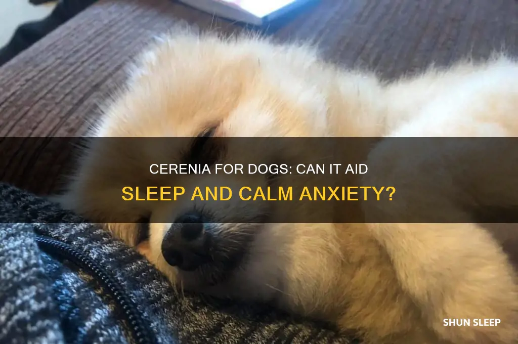 will cerenia help my dog sleep too