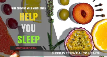 Wild Mint Leaves: A Natural Sleep Aid or Myth?