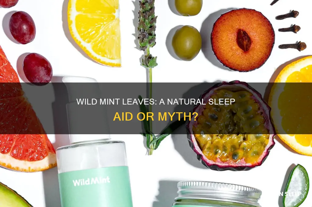 will chewing wild mint leaves help you sleep