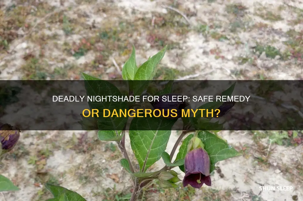 will deadly nightshade help you sleep