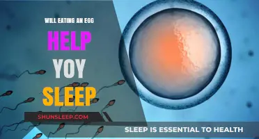 Can Eating an Egg Before Bed Improve Your Sleep Quality?