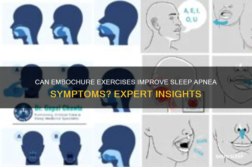 will embochure exercises help with sleep apnea