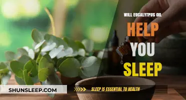 Eucalyptus Oil for Sleep: Benefits, Uses, and Effectiveness Explained