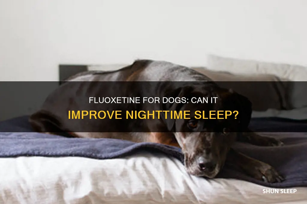 will fluoxetine help my dog sleep through the night